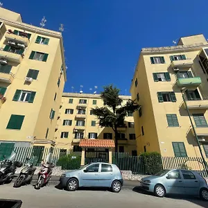 Piccolo Fiore Napoli
